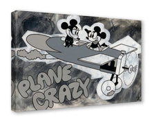 Load image into Gallery viewer, Plane Crazy - Beau Hufford