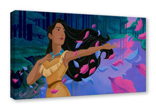 Load image into Gallery viewer, Pocahontas - A World Unseen - Jean Salvatore