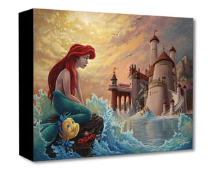 Treasures on Canvas – Ariel’s Daydream