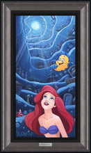 Load image into Gallery viewer, Disney's Silver Series – World Up Above – Michelle St Laurent
