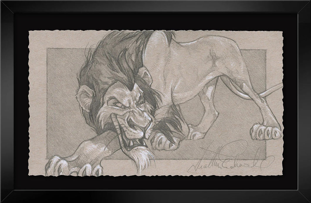 Graphite Collection - 
