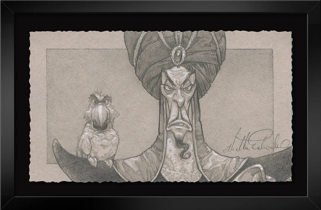 Graphite Collection - 