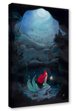 Load image into Gallery viewer, Part of that World - Liana Hee

