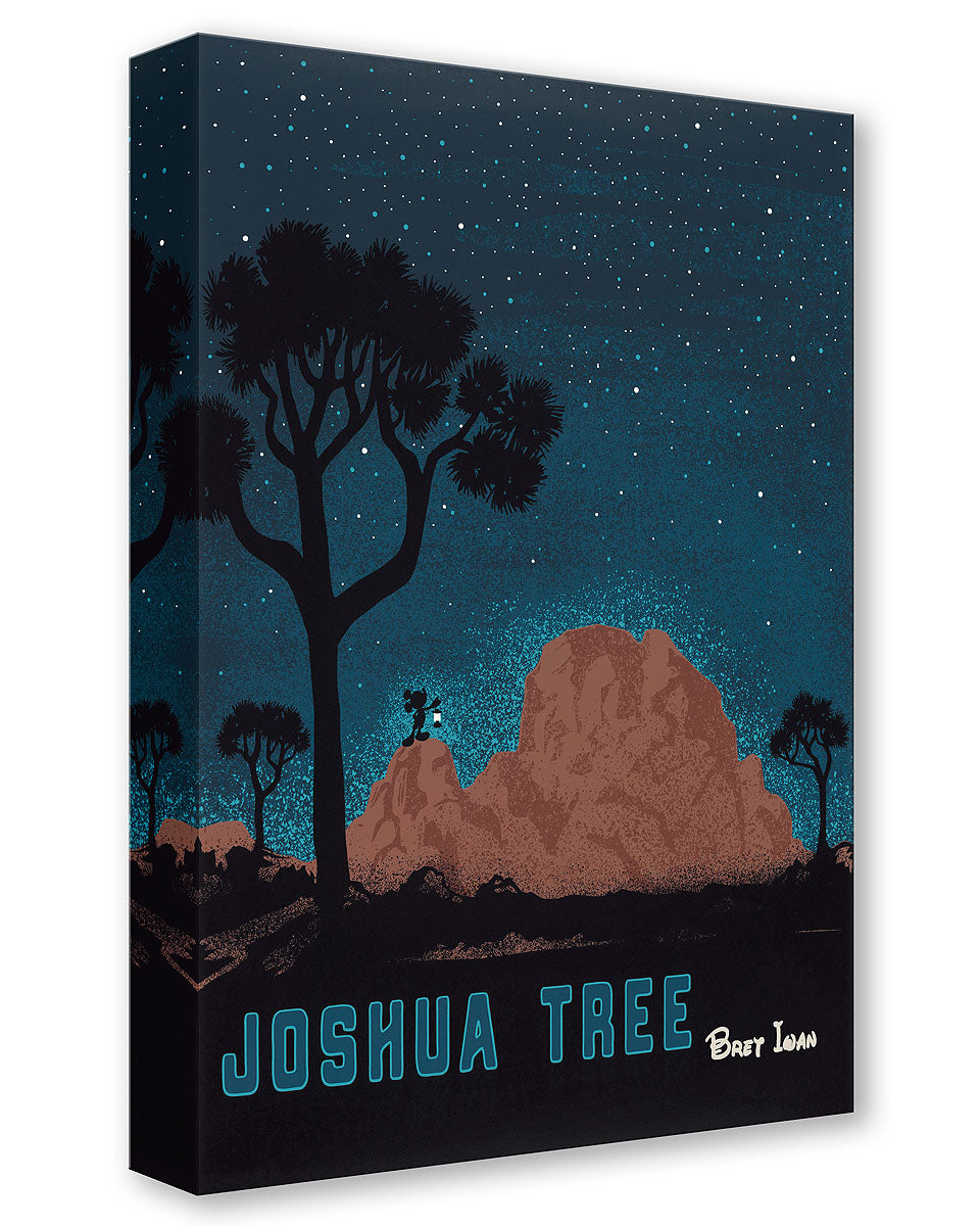Treasures on Canvas - Joshua Tree