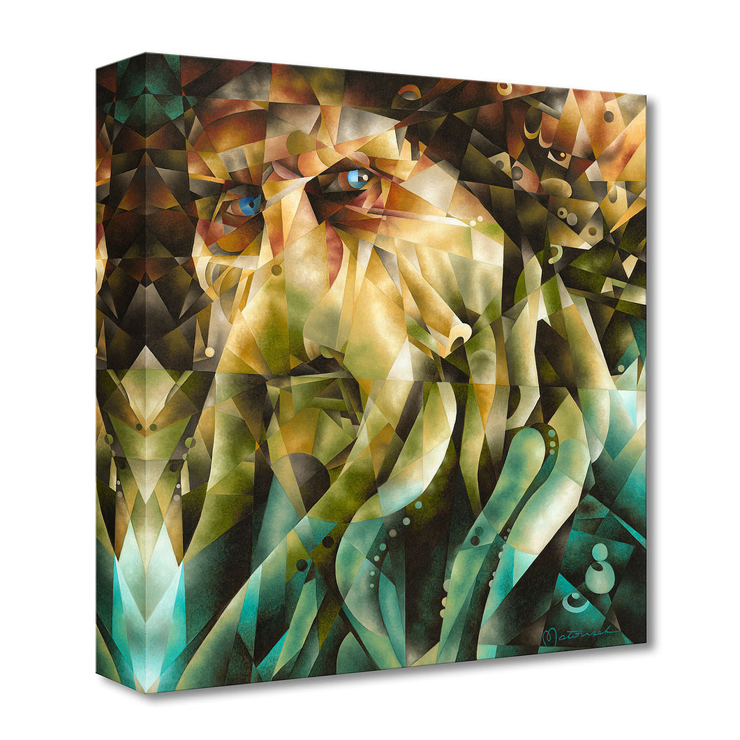 Davey Jones - Tom Matousek – Treasures on Canvas