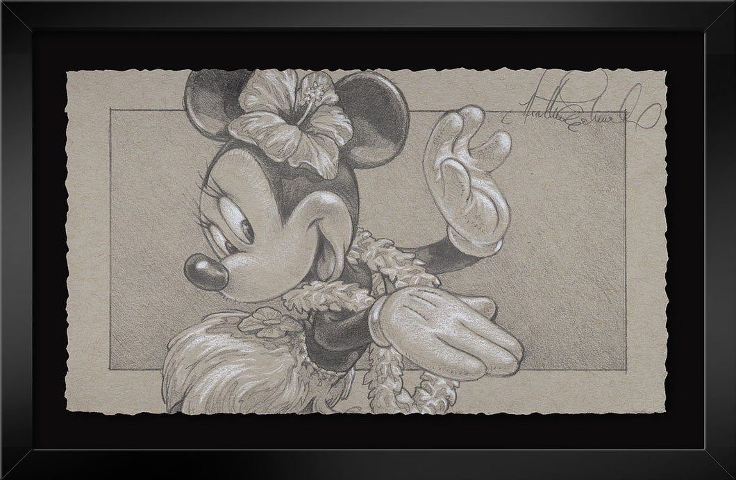 Graphite Collection - 
