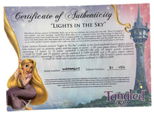 Cargar imagen en el visor de la galería, Lights In The Sky - Tangled
